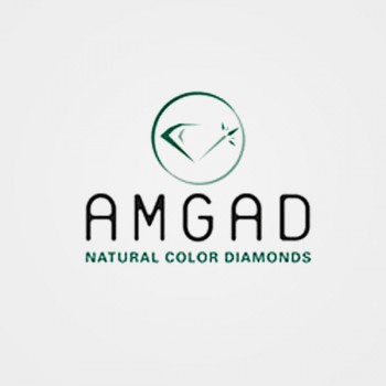 https://www.amgad.com/upload/product/amgad_LQC RN 23L01-0013.jpg